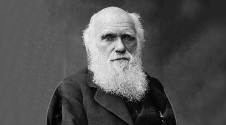 Charles Darwin Quotes And Sayings about Life, Survival, and Change