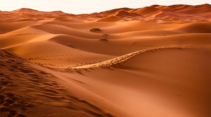 75+ Wistful Instagram Captions for Every Shot of Your Trip to the Desert
