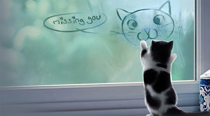 Romantic I Miss You Quotes and Messages – I Miss You So Much!