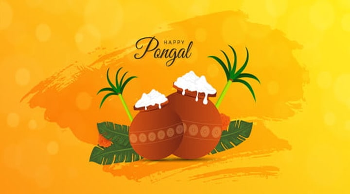 Happy Pongal Festival Wishes, Messages, Greetings